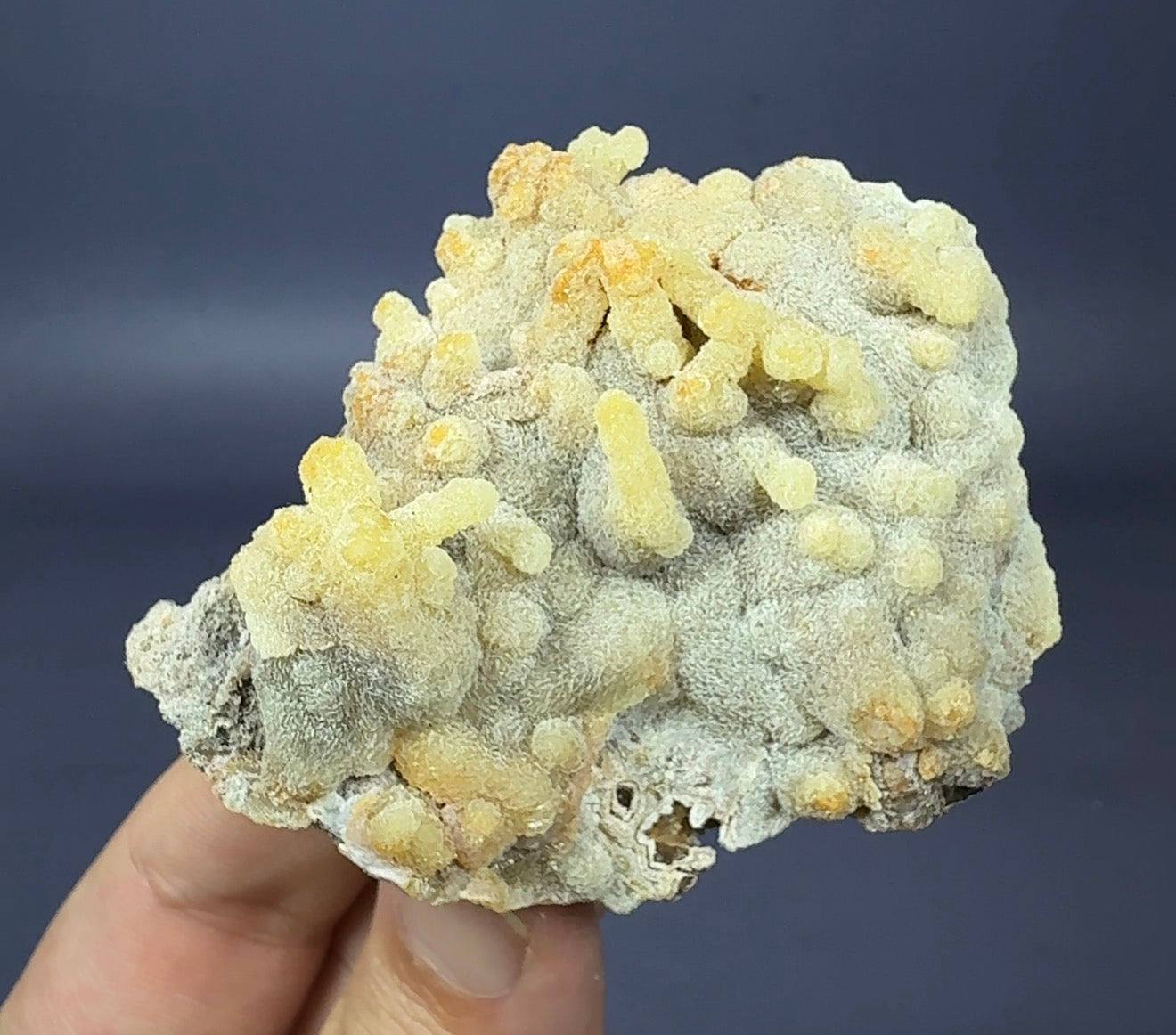 Auction Win: Aragonite (unusual form)