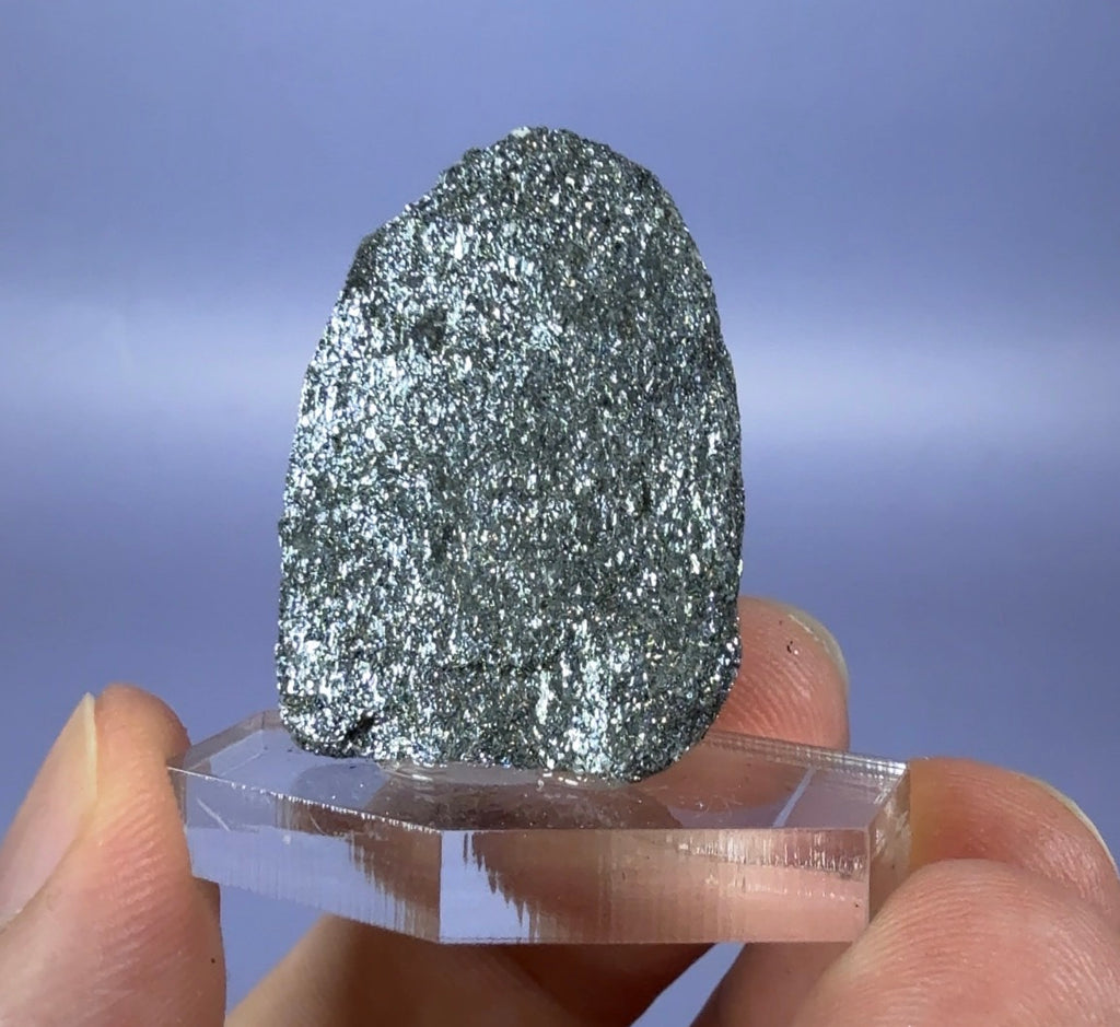 Auction Win: Specularite