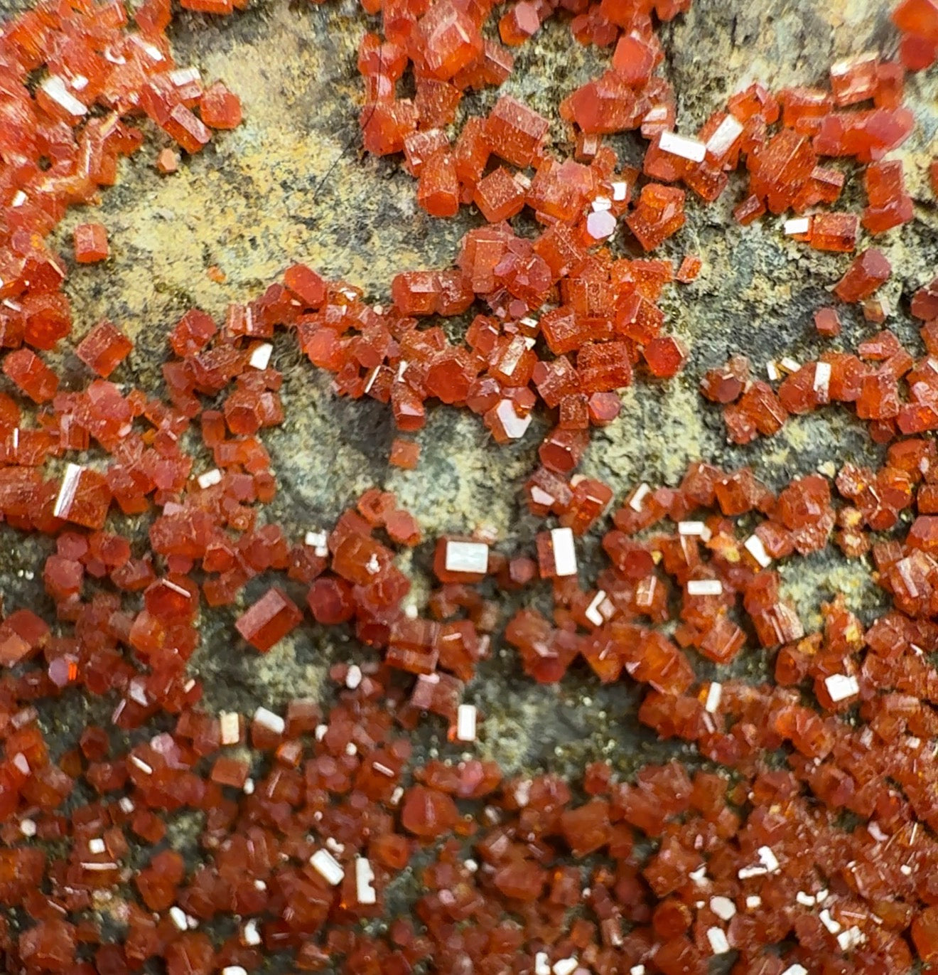 Auction Win: Vanadinite on Matrix (Ex. Dr. Mark Carter)