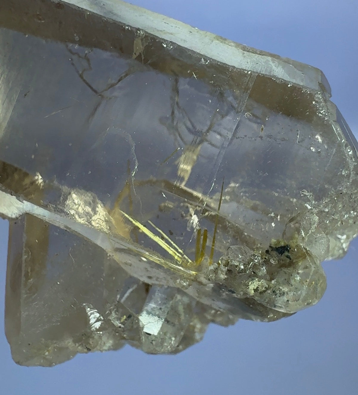 Auction Win: Rutile in Smoky Quartz