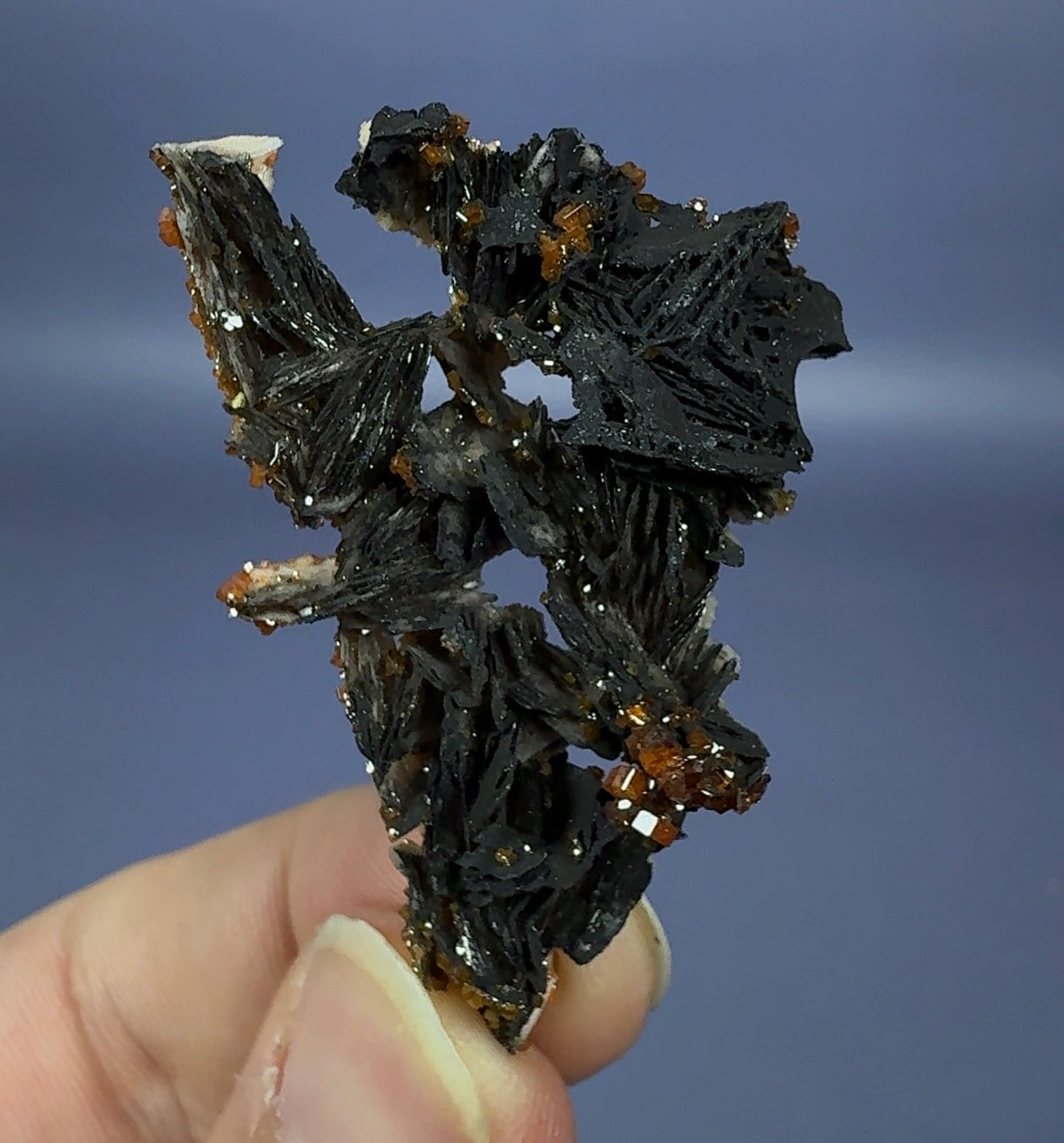 Auction Win: ‘Black Rose’ Vanadinite on Goethite on Baryte