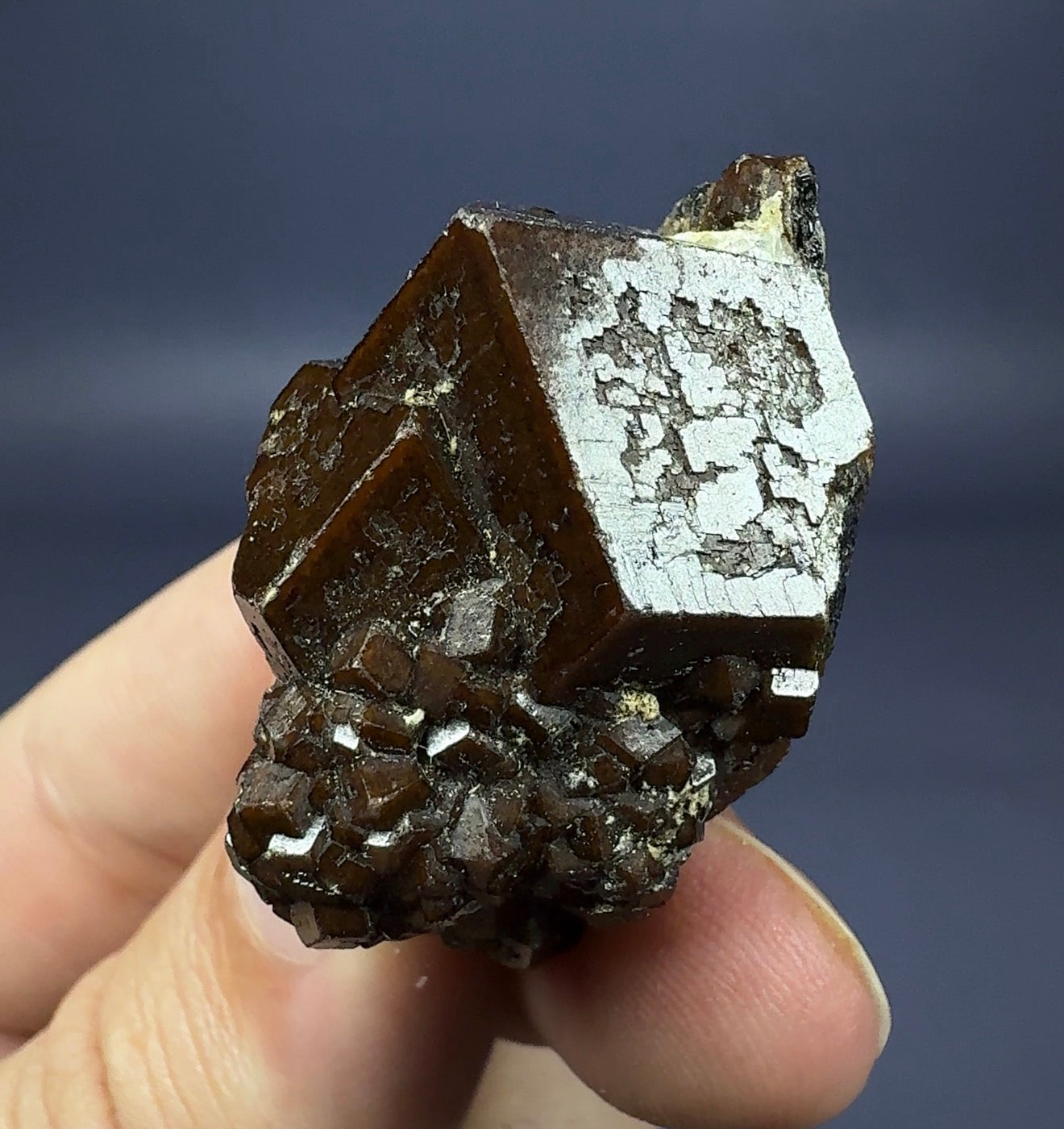 Auction Win: Andradite on Melanite