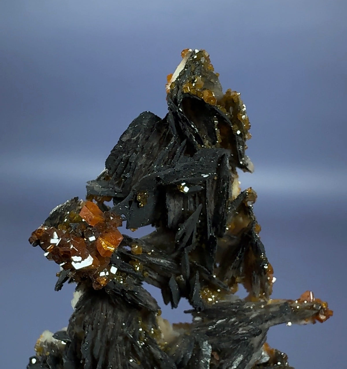Auction Win: ‘Black Rose’ Vanadinite on Goethite on Baryte