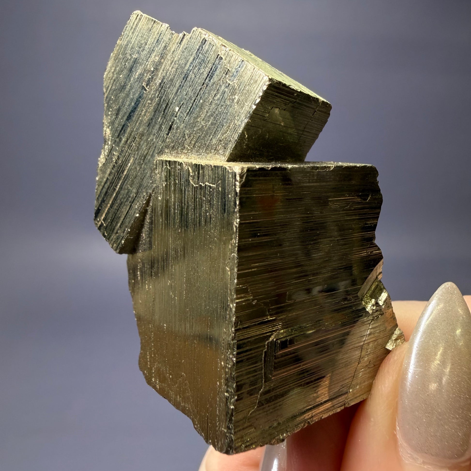 Auction Win: Pyrite (Stack)