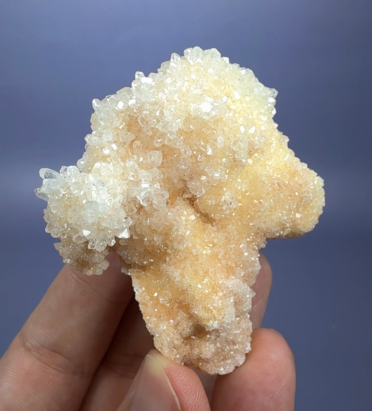 Auction Win: Calcite