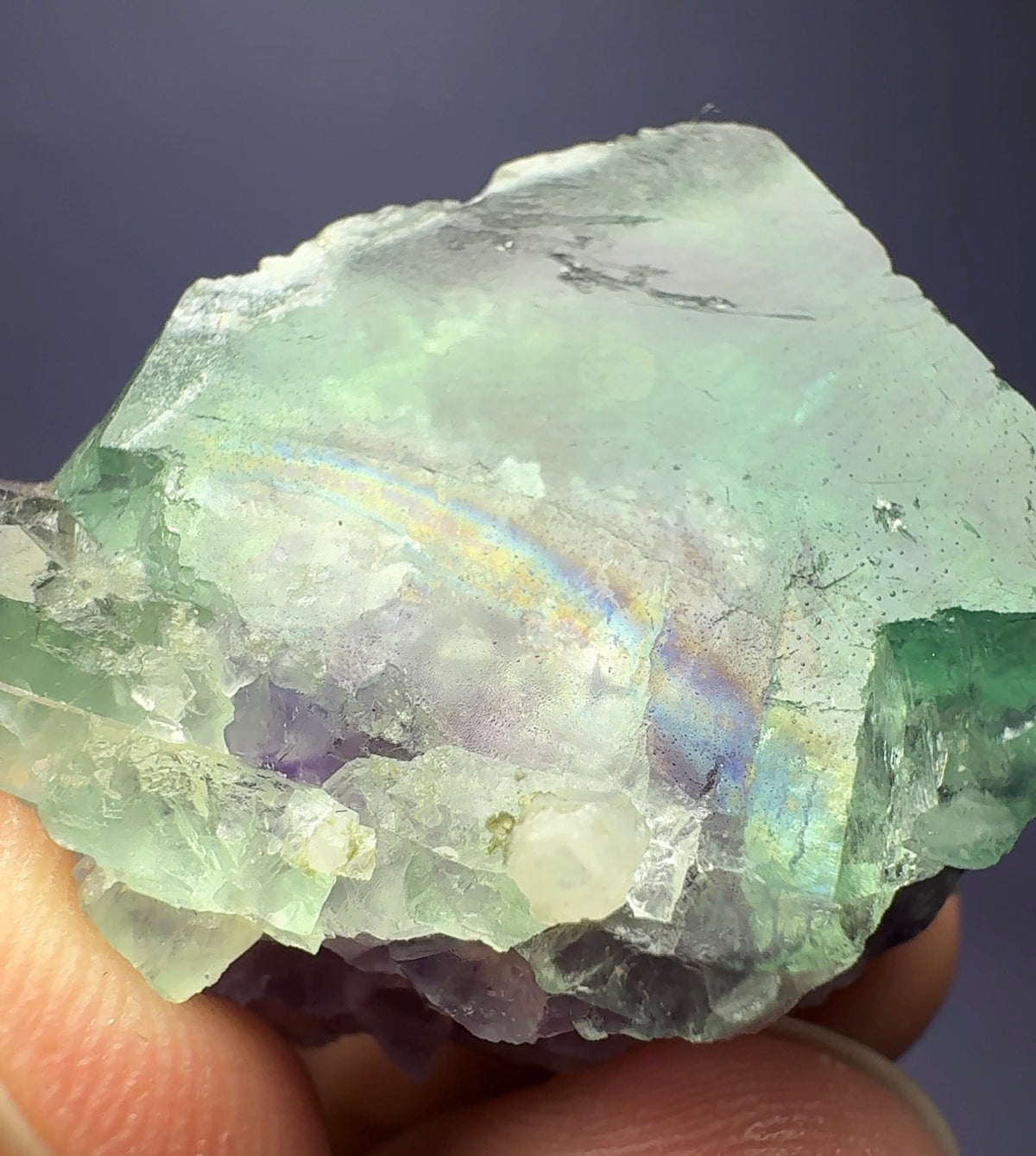 Auction Win: Fluorite (iridescent & good color)
