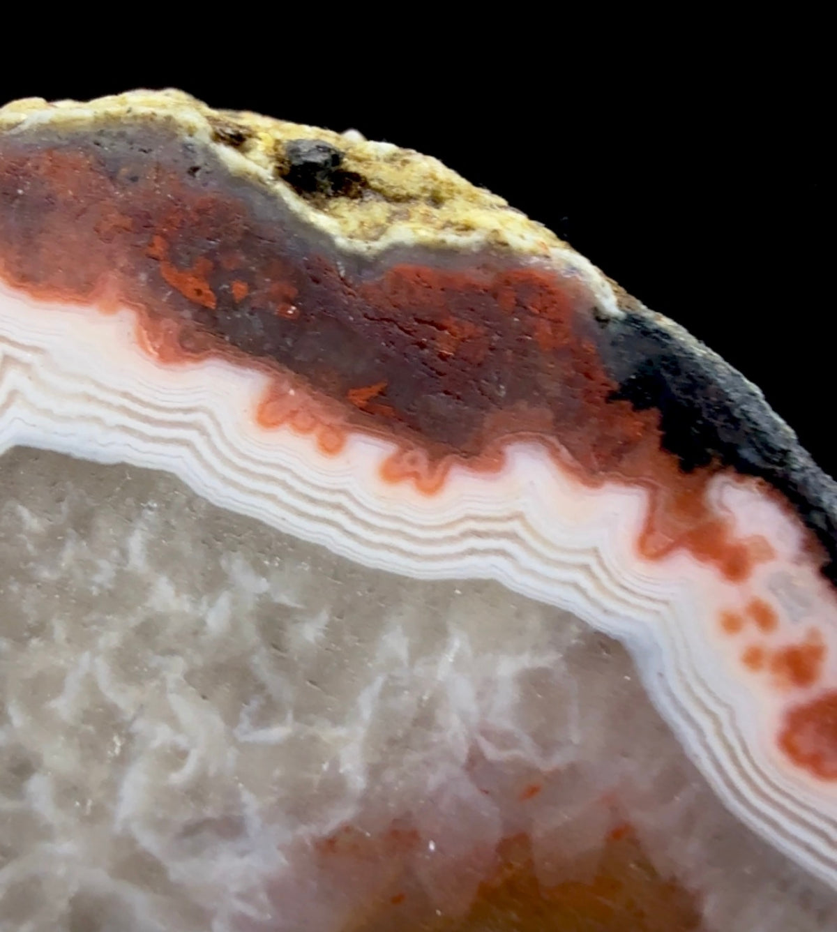 Auction Win: Red Plume Carnelian Agate