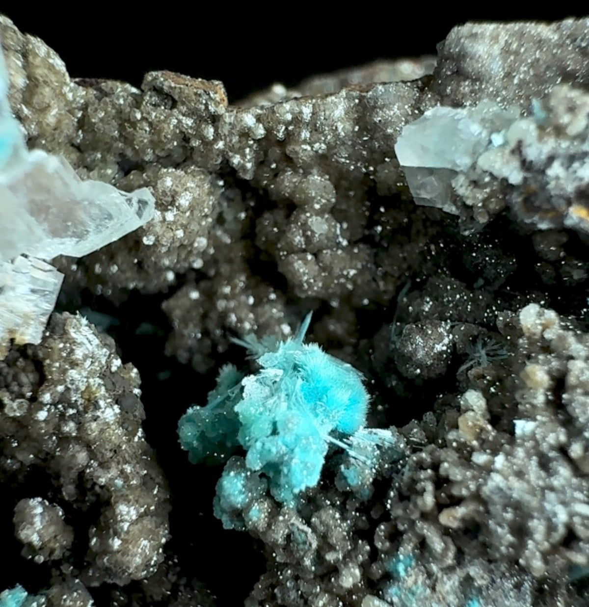 Auction Win: Aurichalcite