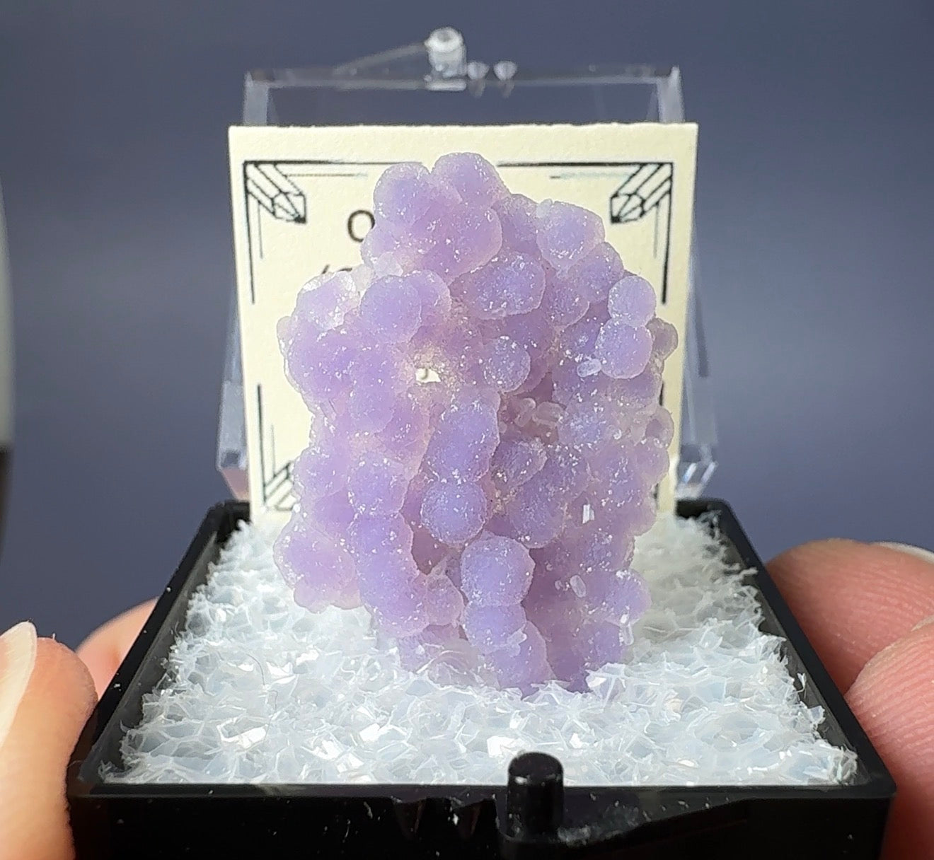 Auction Win: Quartz var ‘Grape Agate’