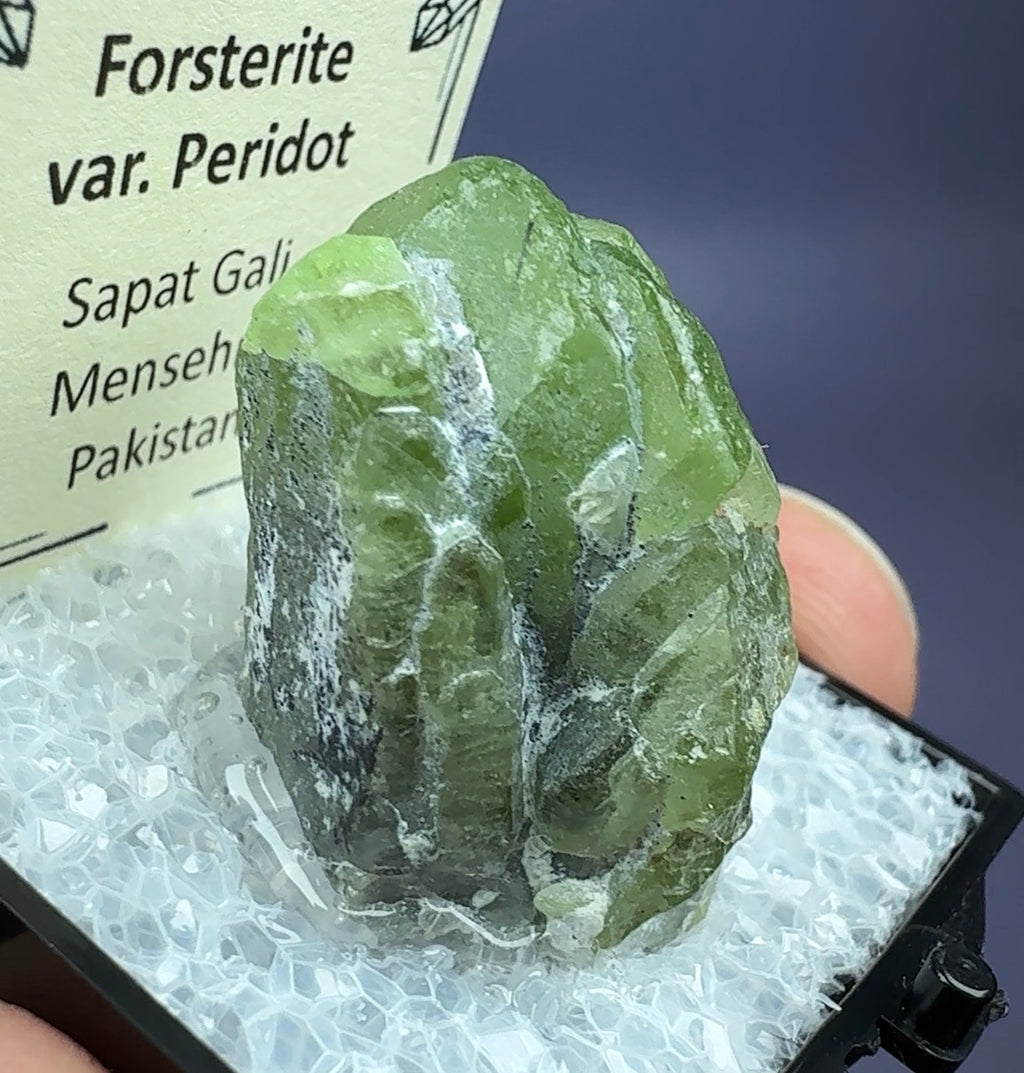 Auction Win: Ludwigite included Peridot (large crystal)