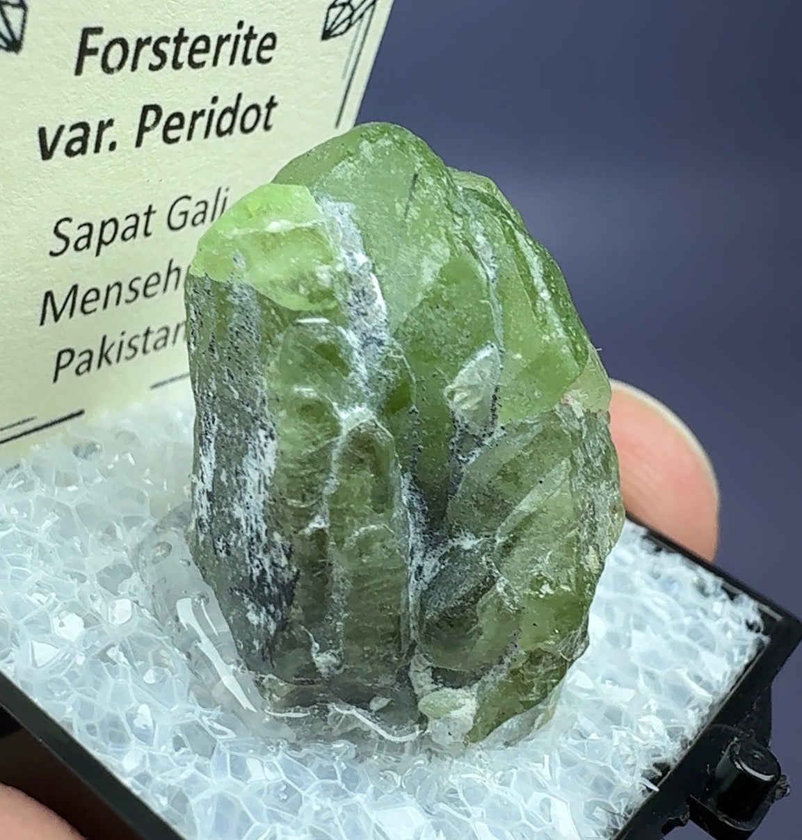 Auction Win: Ludwigite included Peridot (large crystal)