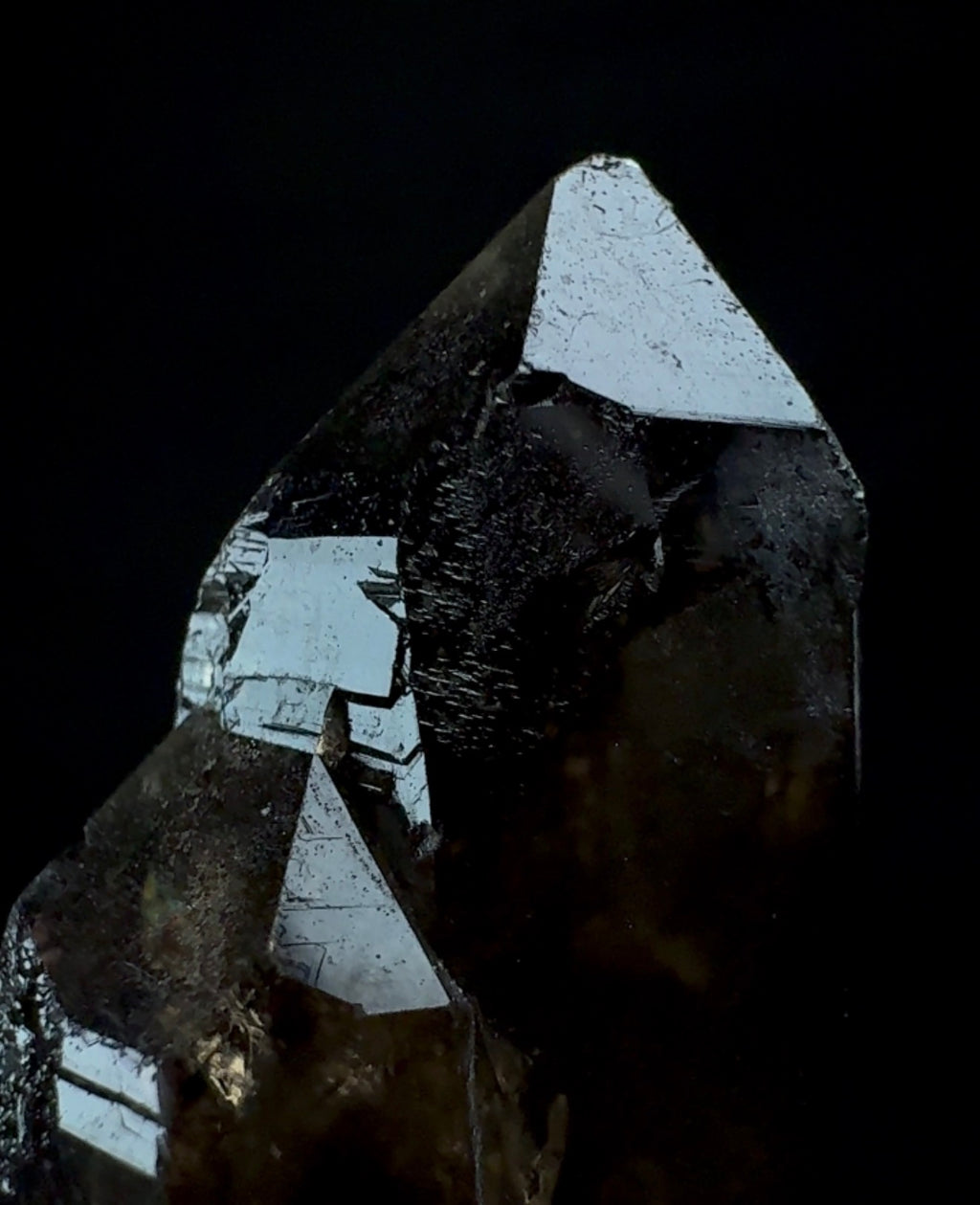 Auction Win: Quartz var. Smoky Quartz