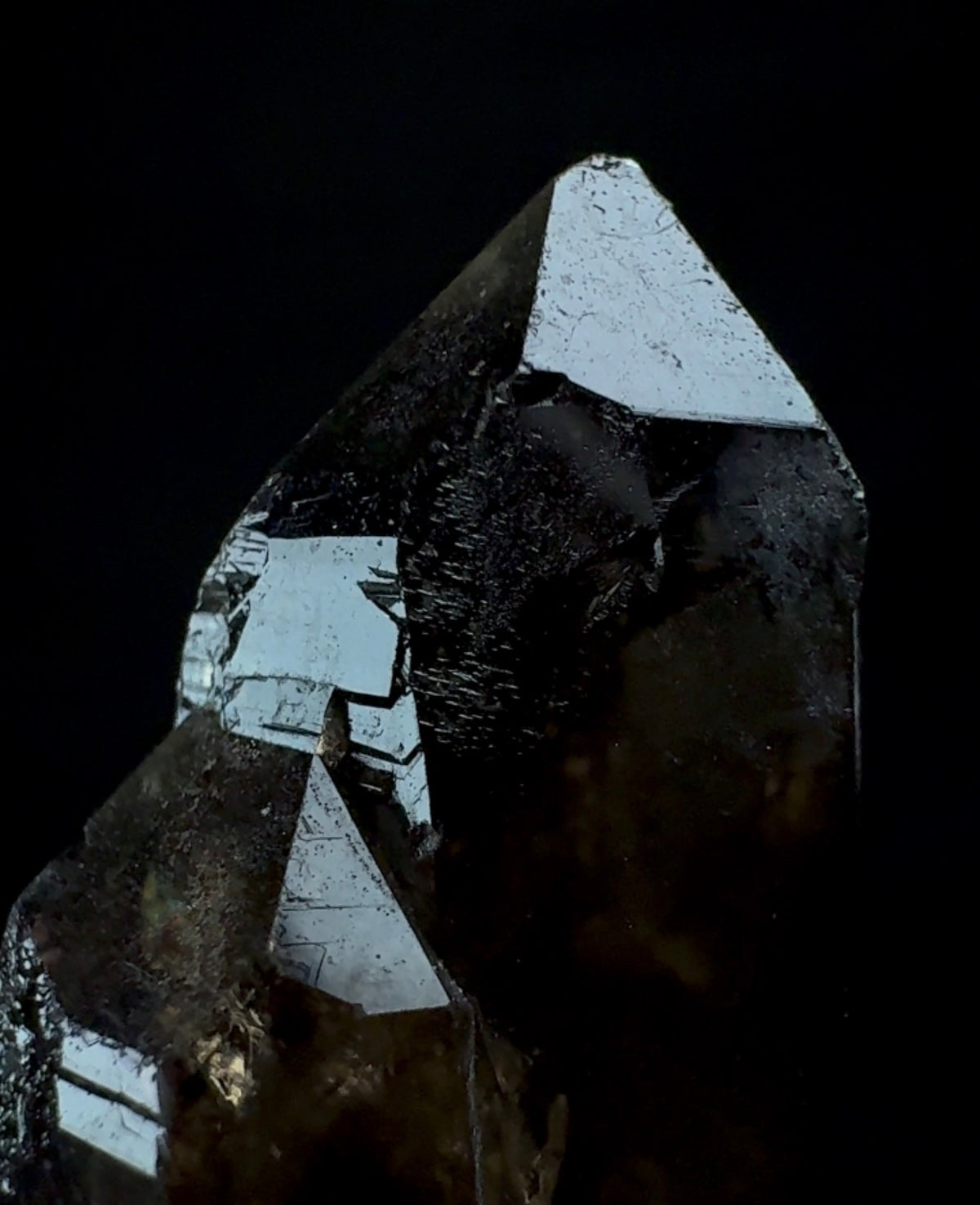 Auction Win: Quartz var. Smoky Quartz