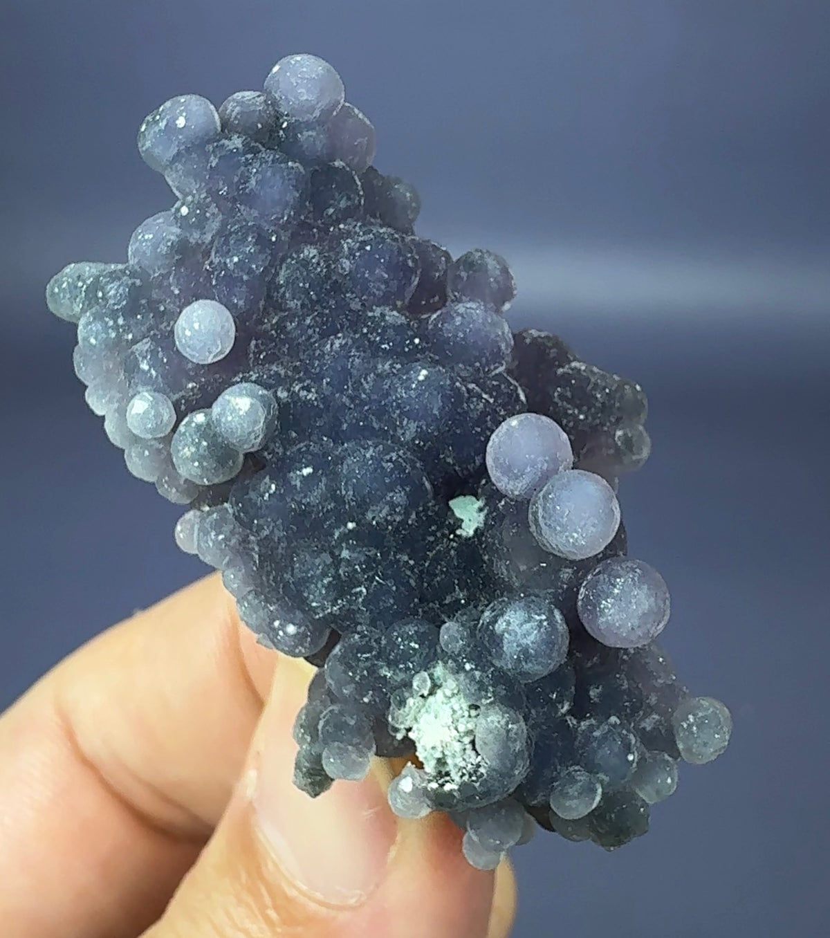 Auction Win: Quartz var. ‘Grape Agate’ (good luster and color)