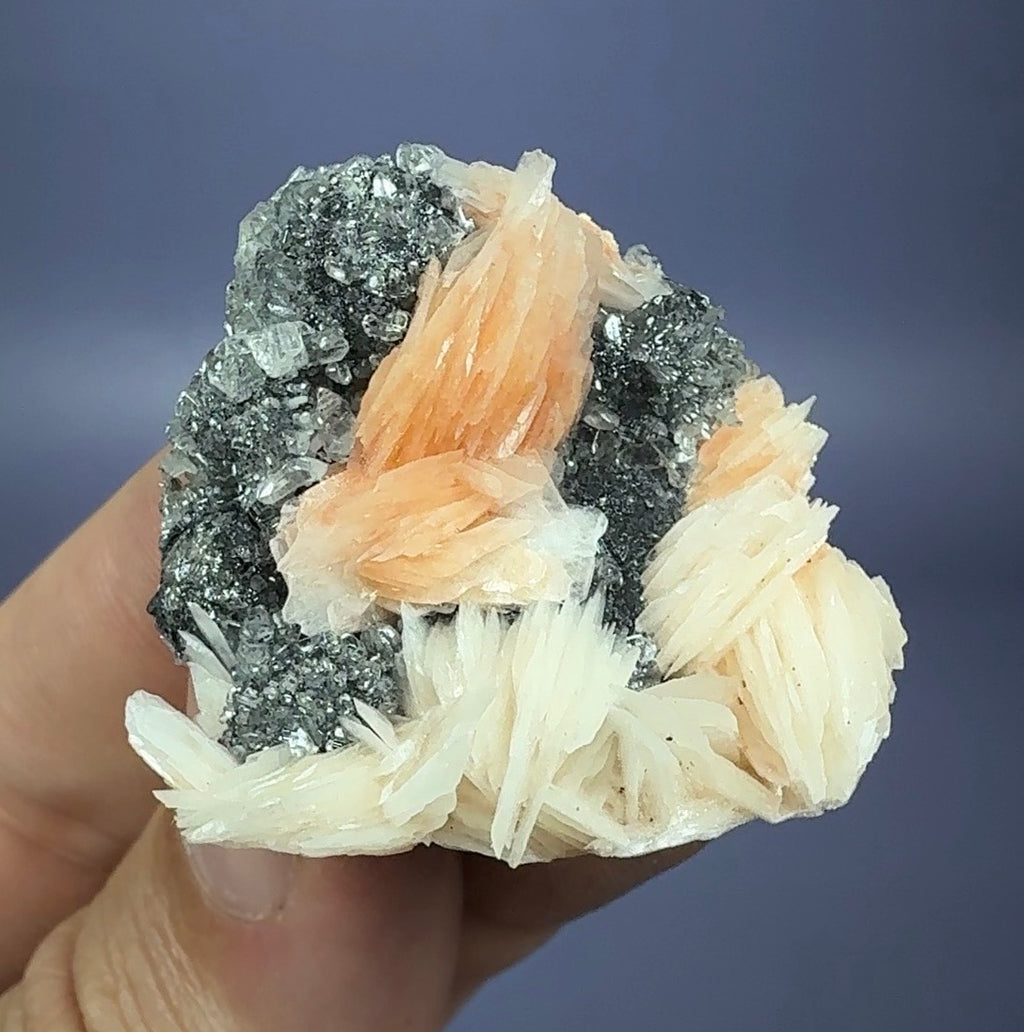 Baryte with Cerrusite on Galena