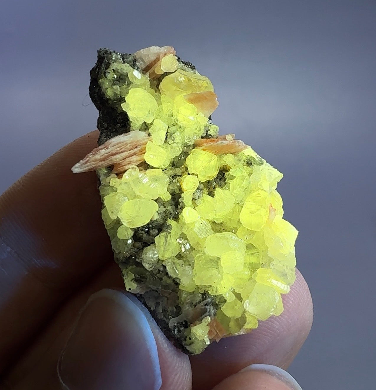 Auction Win: Cerrusite with Barite (Fluorescent)