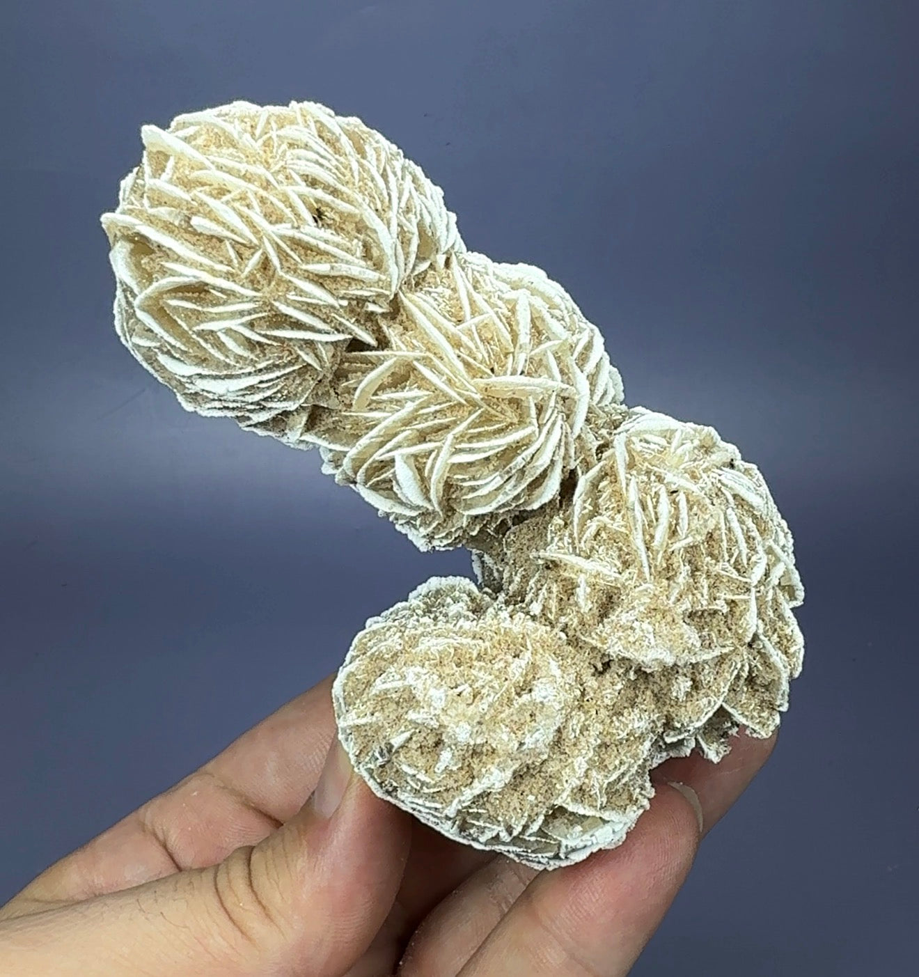 Auction Win: ‘Desert Rose’ Selenite