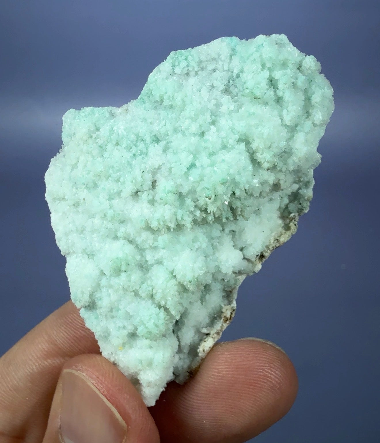 Auction Win: Chrysocolla in Selenite (epimorph - small find)