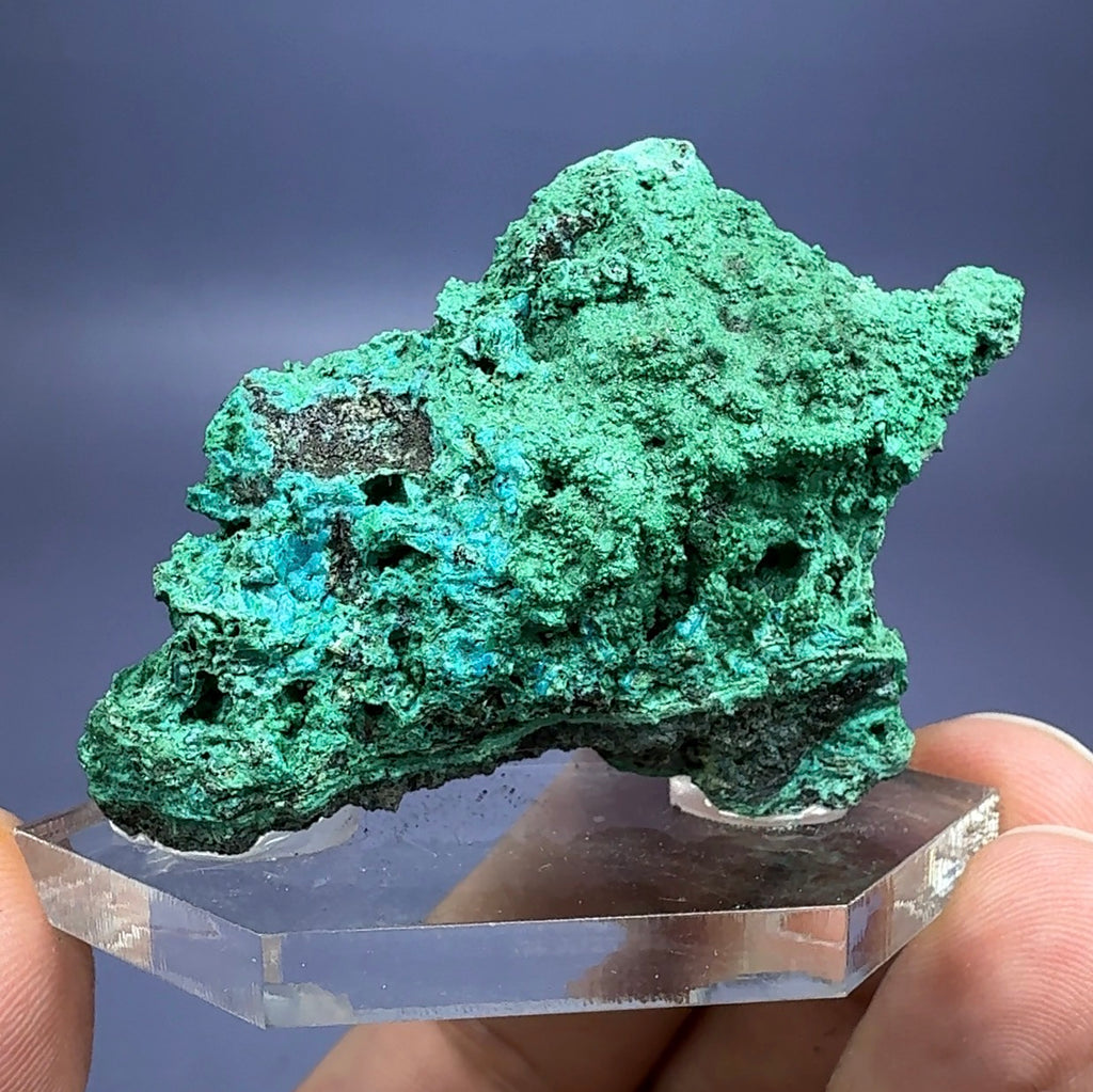 Auction Win: Chrysocolla and Malachite