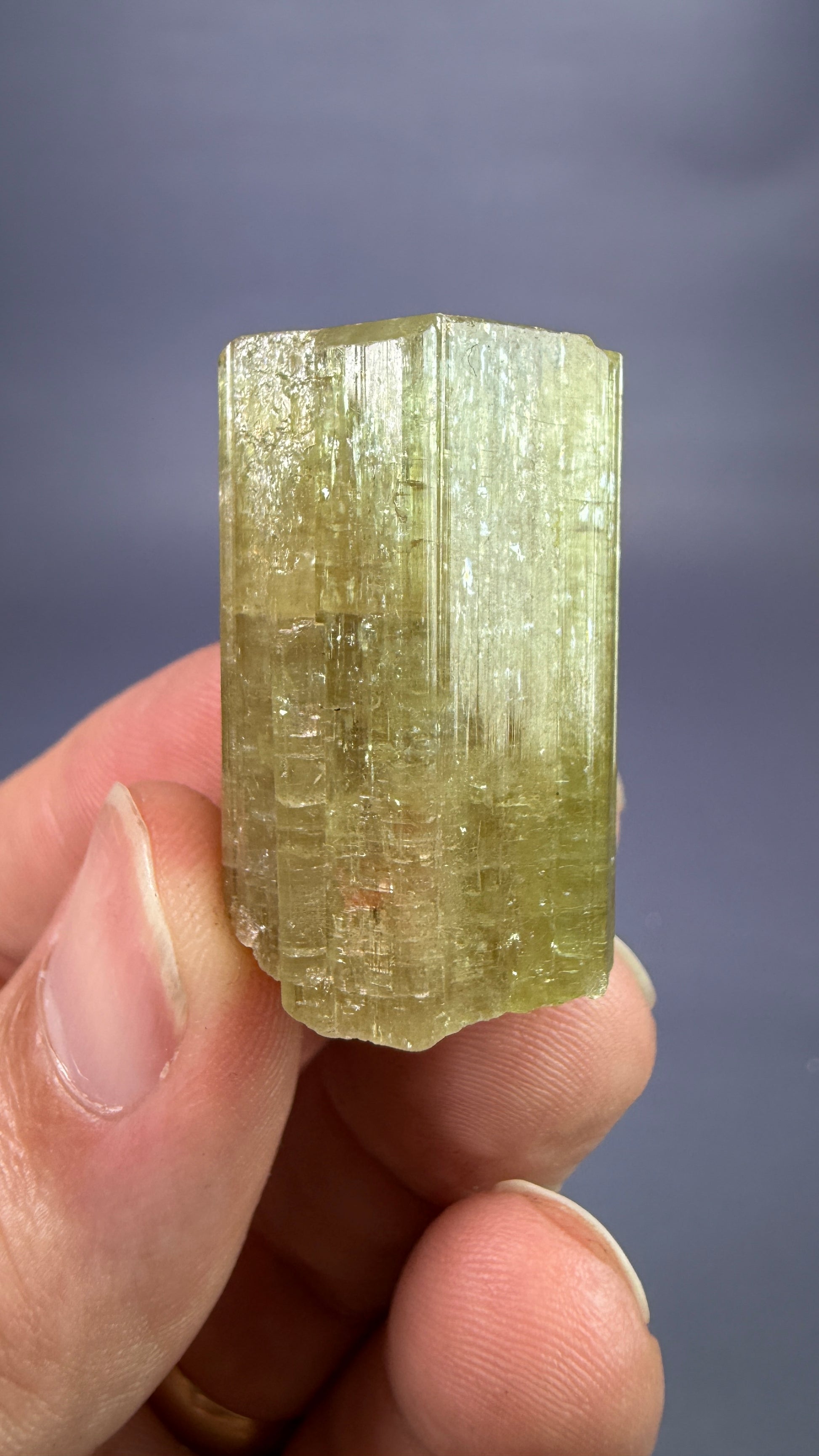 Auction Win: Apatite (straw)