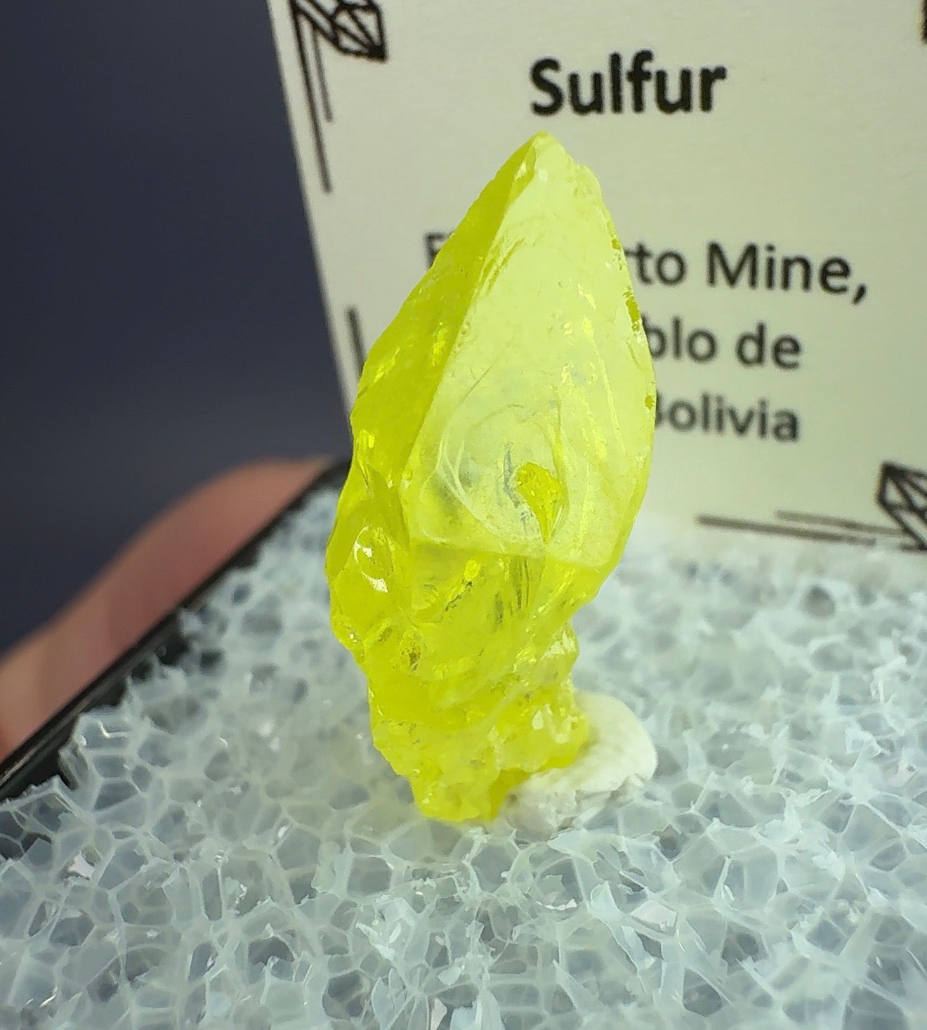 Auction Win: Sulfur (termination)