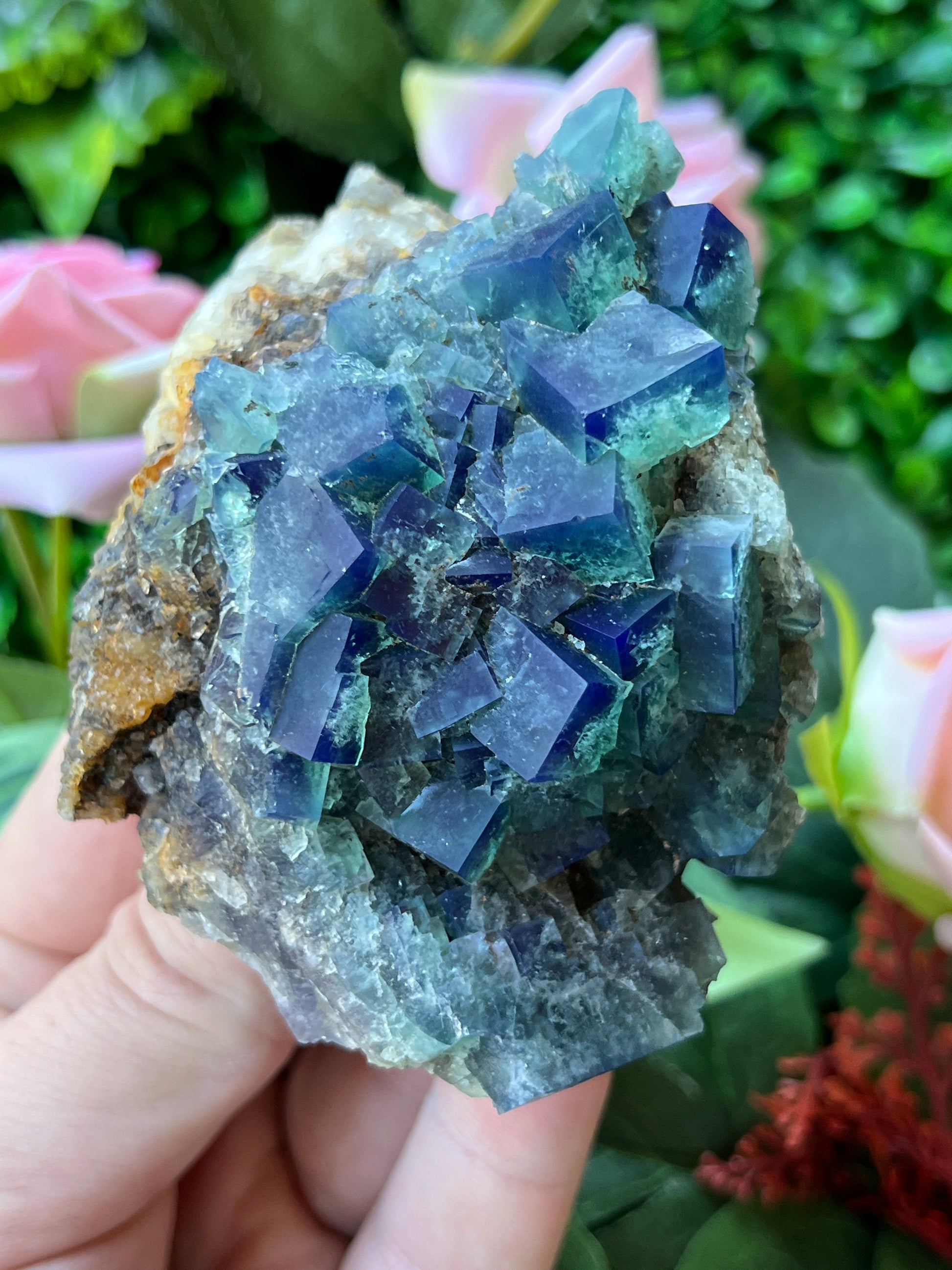 Fluorite (Color Change) - Naughty Gnome Pocket