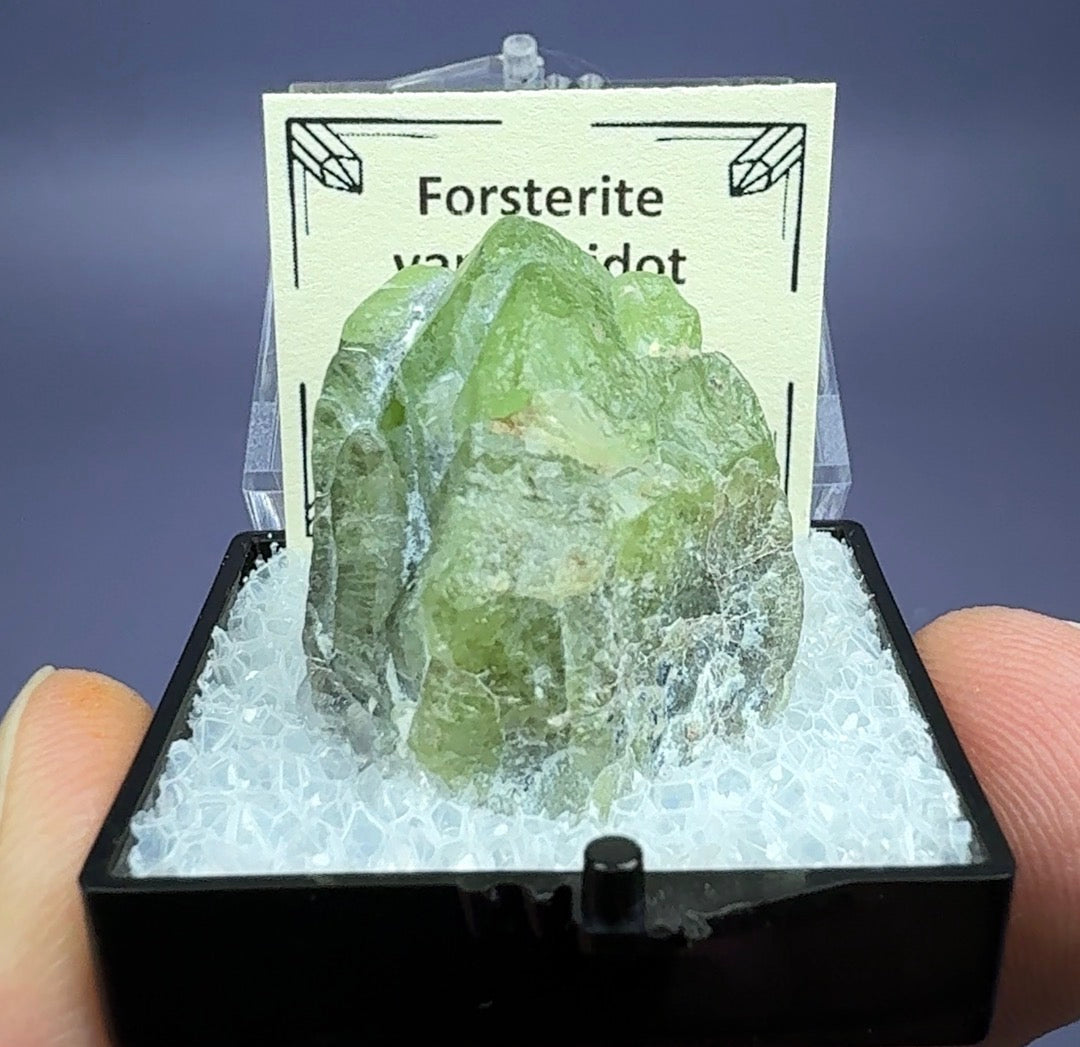 Auction Win: Ludwigite included Peridot (large crystal)