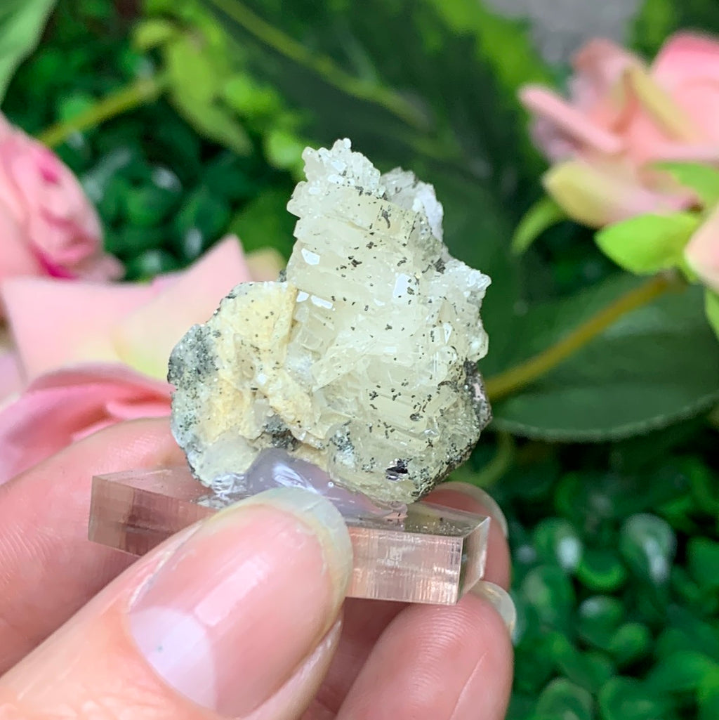 Apatite w/ Clinochlore