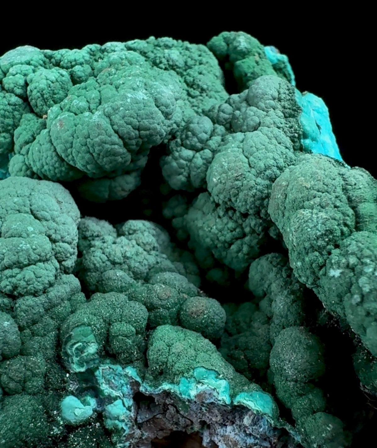 Auction Win: Malachite on Chrysocolla