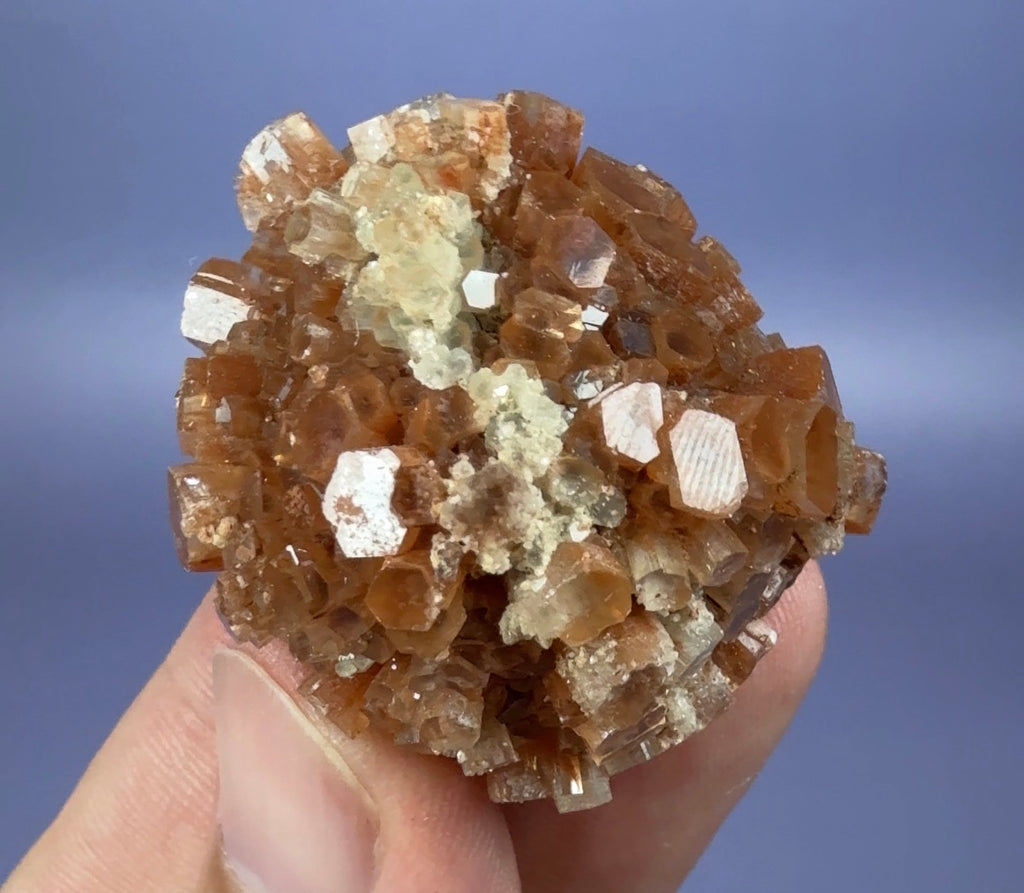 Auction Win: Bi-color ‘Star’ Aragonite