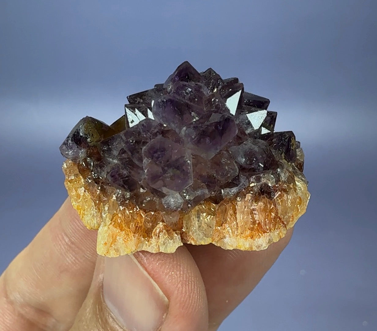 Auction Win: Amethyst ‘Flower’