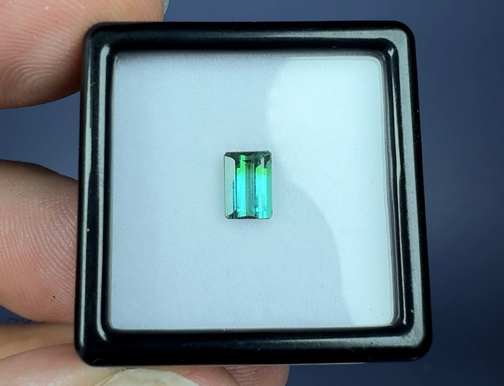 Auction Win: Indicolite-Elbaite Bi-color Tourmaline .60ct