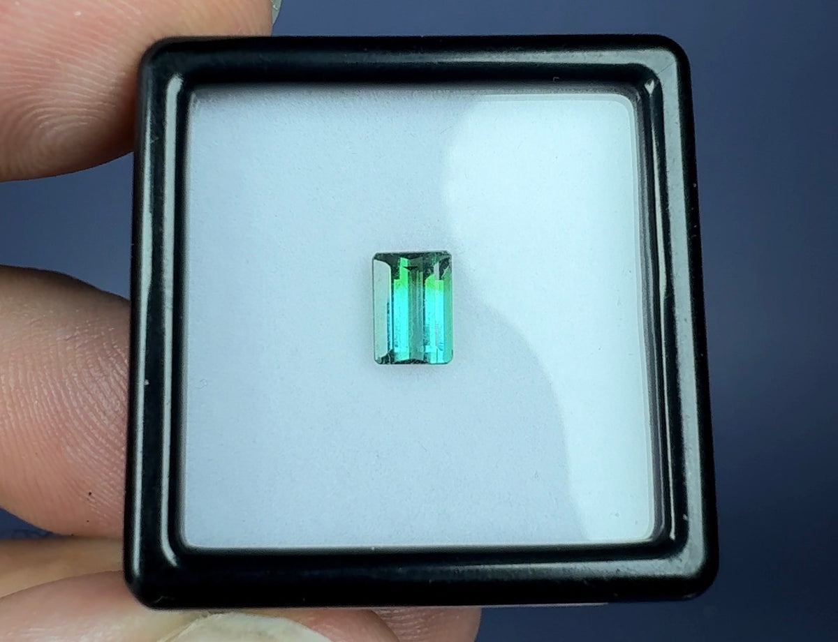 Auction Win: Indicolite-Elbaite Bi-color Tourmaline .60ct