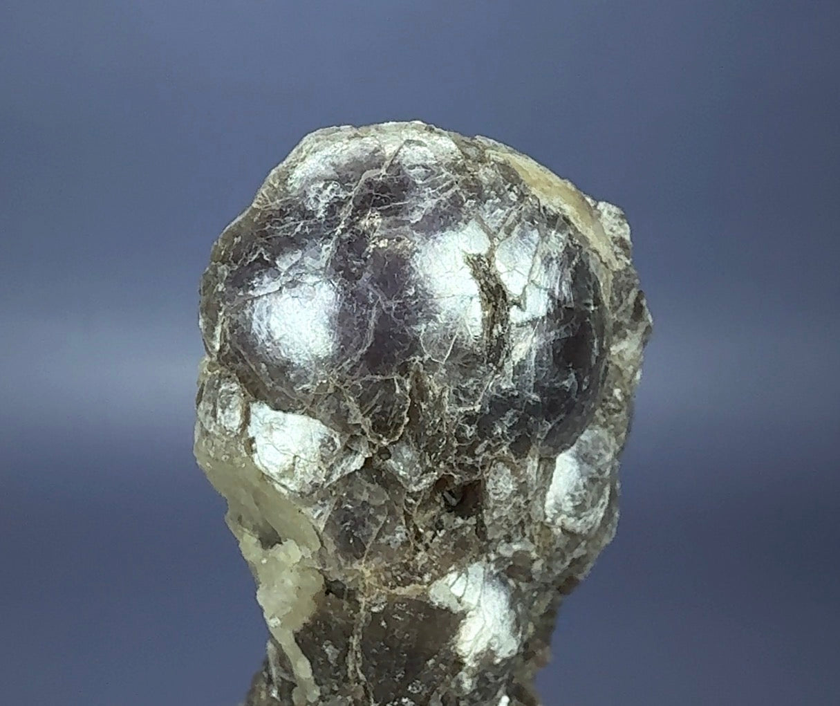 Auction Win: Lepidolite (Botryoidal)