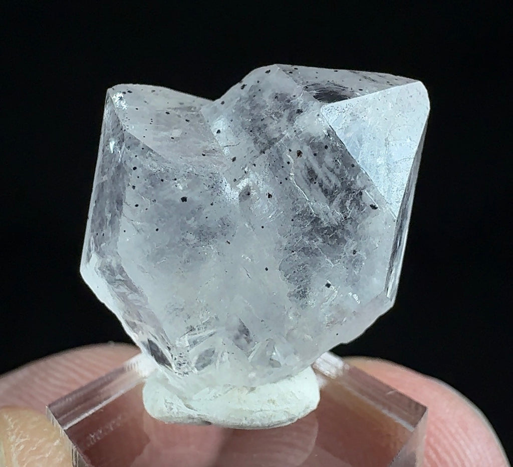 Auction Win: Quartz “Japan Law” Twin