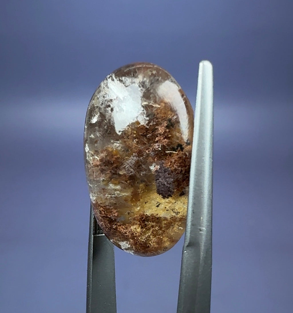 Auction Win: ‘Lodolite’ Quartz with Chlorite and Rutile inclusions (polished)