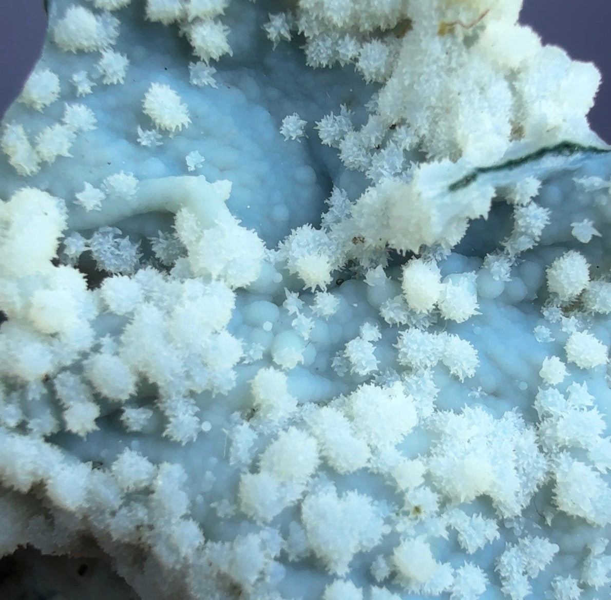Auction Win: ‘Blue’ Chalcedony