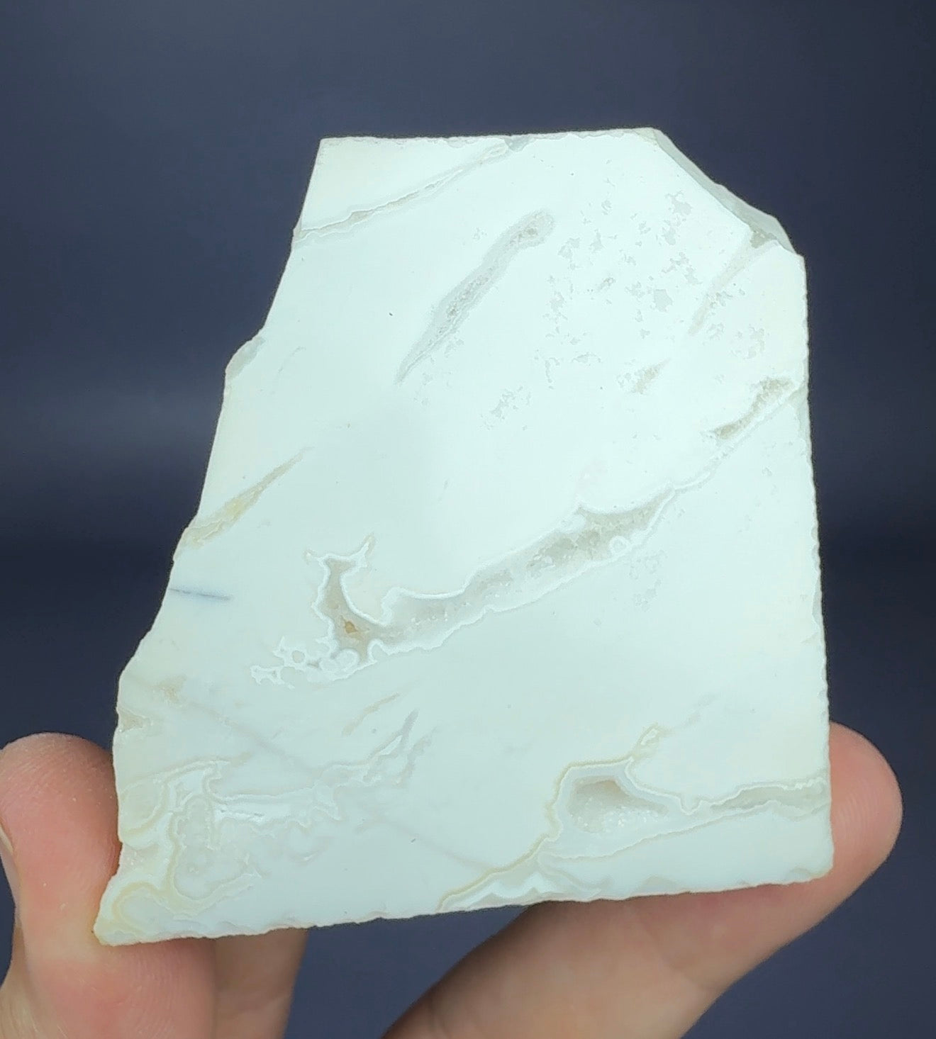 Auction Win: White ‘Snow’ Agate (polished standing slab)