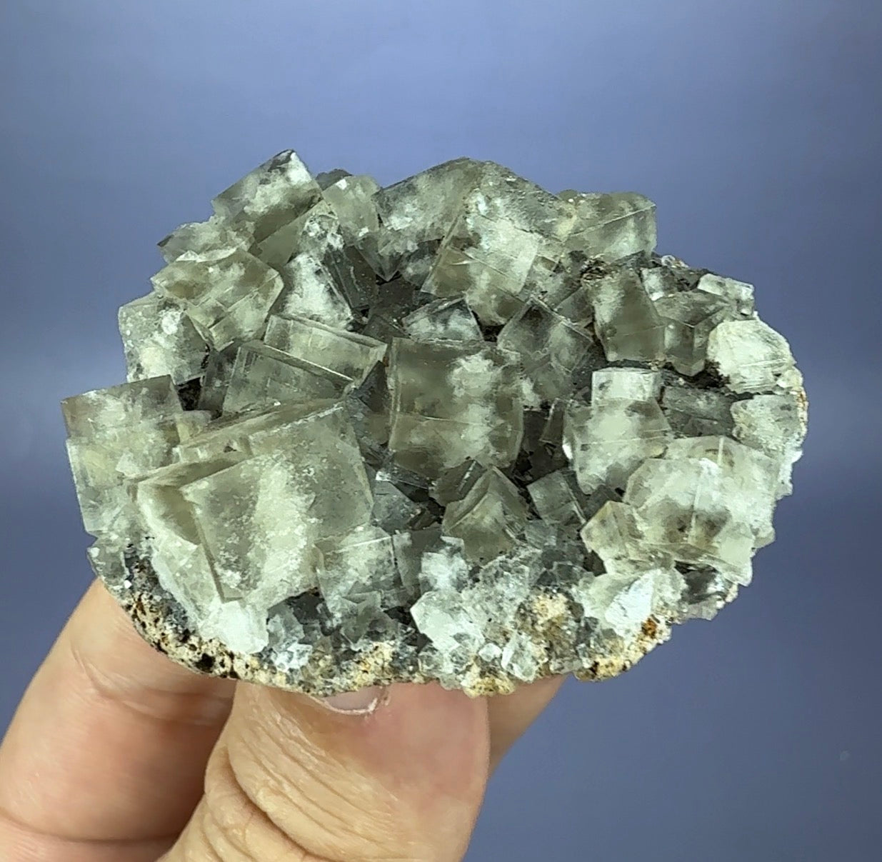 Auction Win: ‘The Bull Vein’ Fluorite (closed mine)