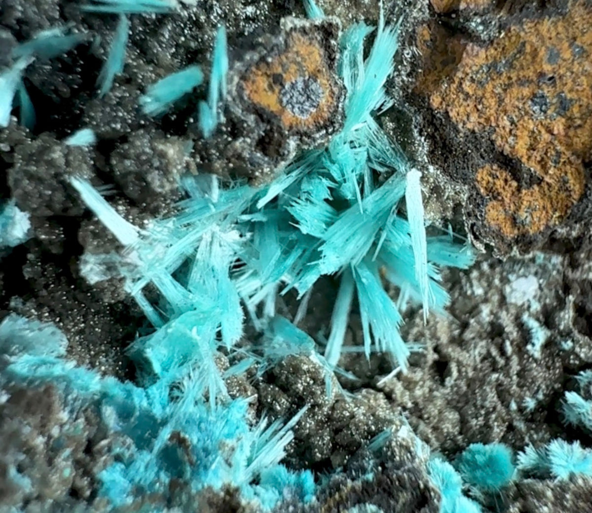Auction Win: Aurichalcite