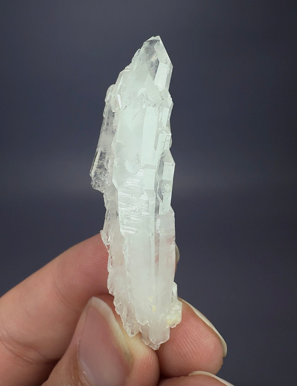 Faden Quartz (curved)