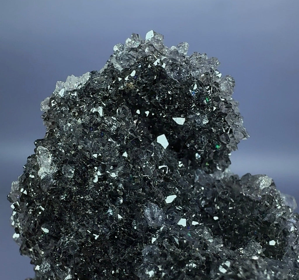 Auction Win: Quartz var. ‘Black’ Amethyst