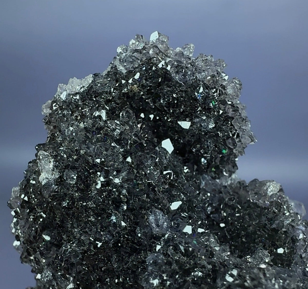 Auction Win: Quartz var. ‘Black’ Amethyst