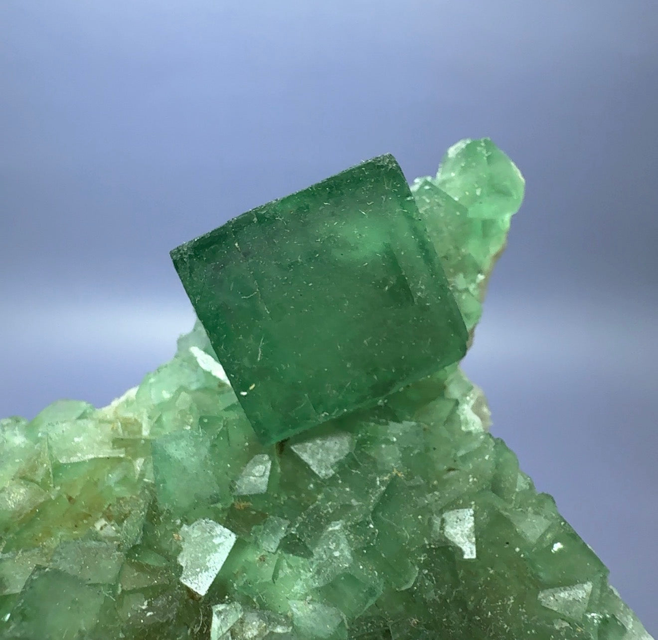 Auction Win: Fluorite
