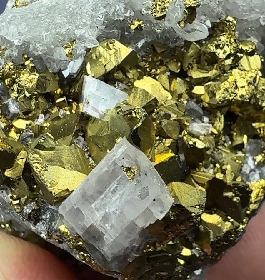 Auction Win: Chalcopyrite and Dolomite with Quartz