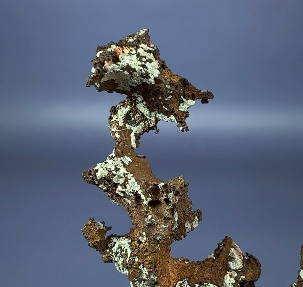 Auction Win: Copper (arborescent branching) ex. Larry Cull Collection