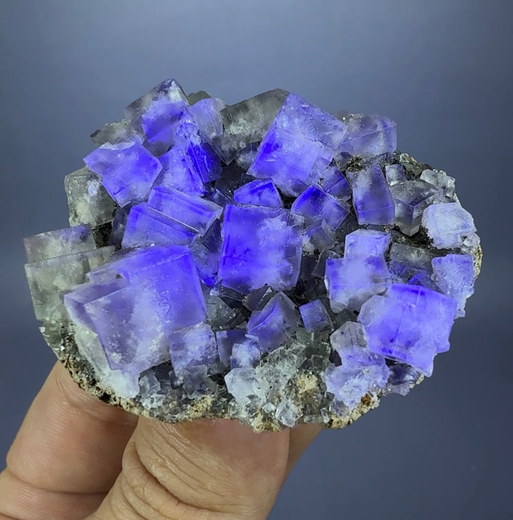 Auction Win: ‘The Bull Vein’ Fluorite (closed mine)