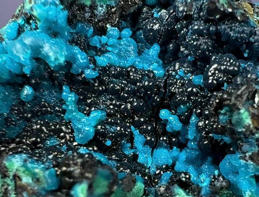Auction Win: Chrysocolla (Botryoidal)