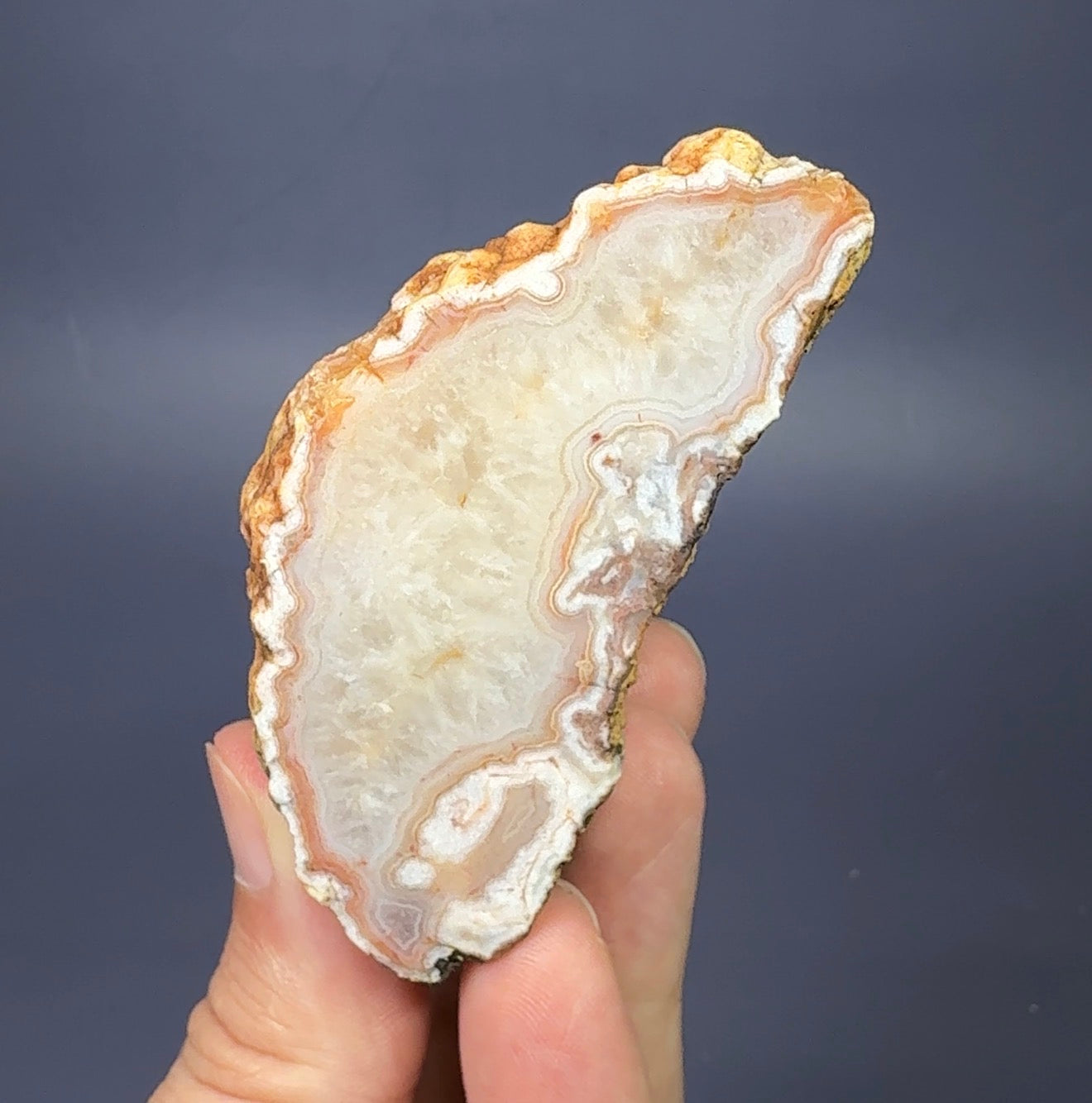 Auction Win: Agate (nodule)