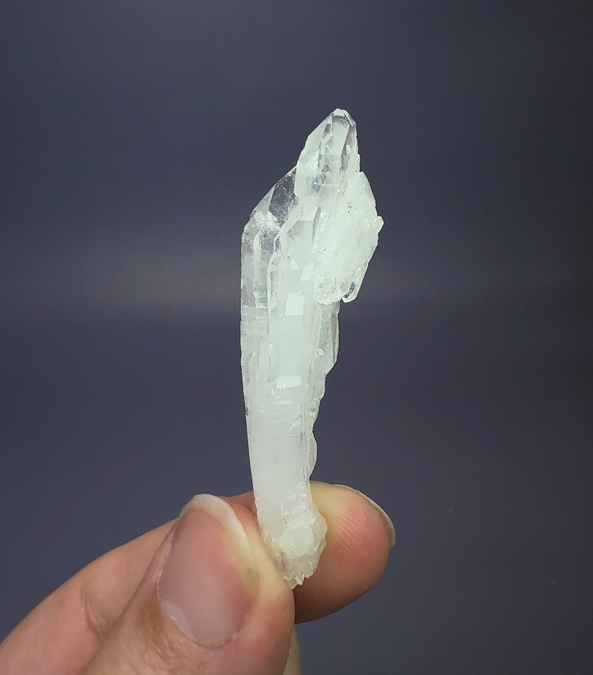 Faden Quartz (curved)